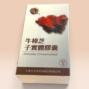 牛樟芝固態菌絲體膠囊